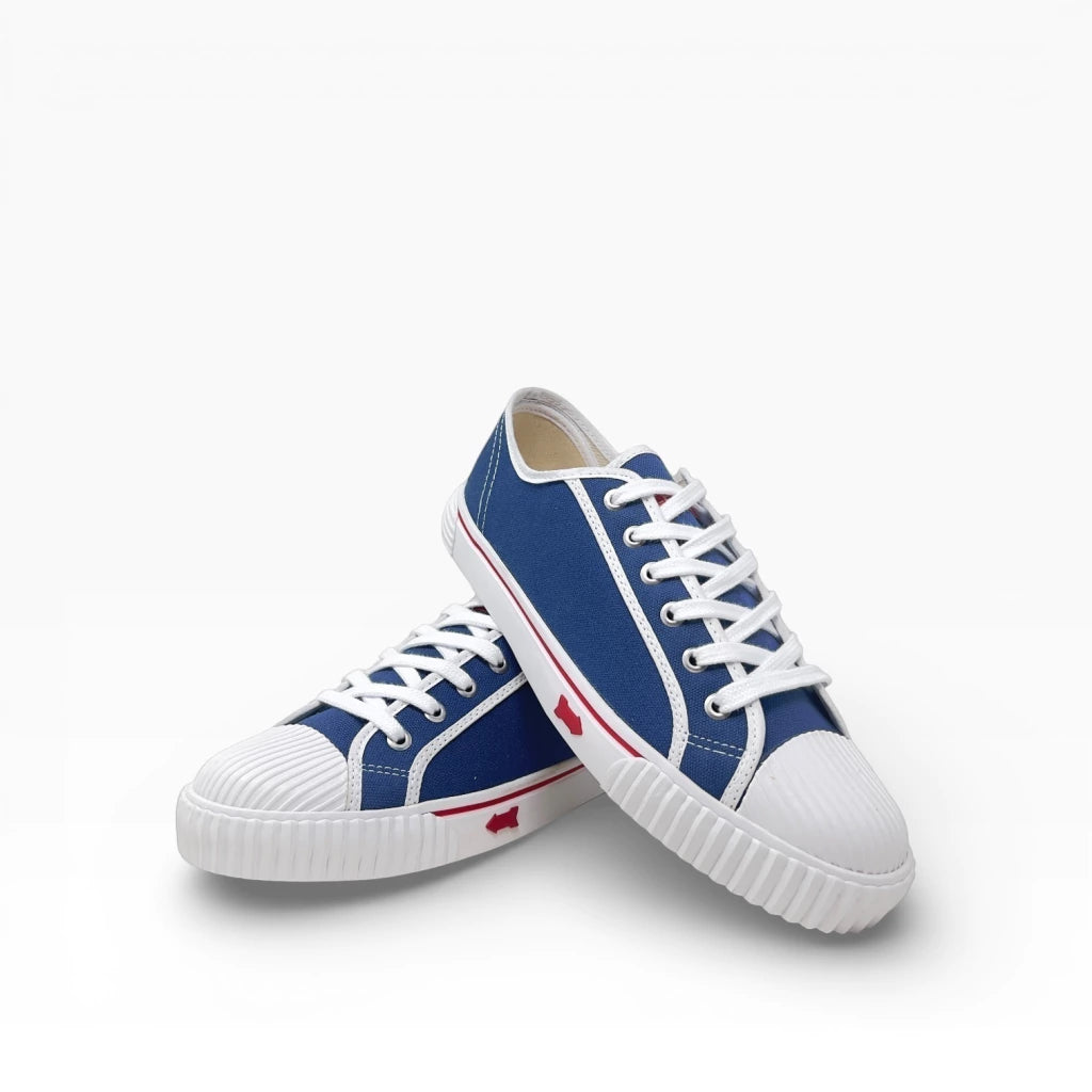 Flecha Clásica Azul/Blanco
