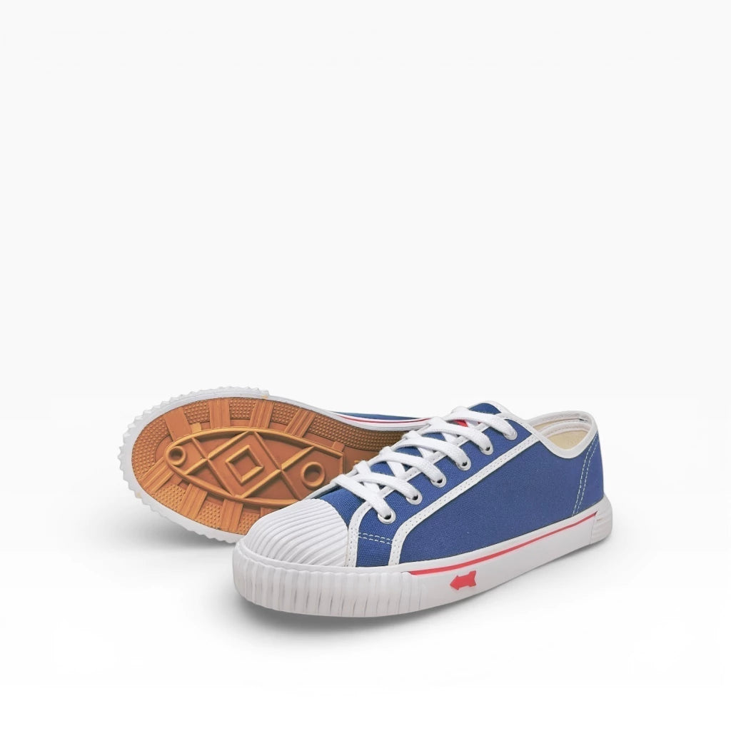 Flecha Clásica Azul/Blanco